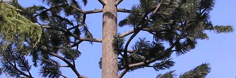 kra stromu - antny - tekut NOEplast